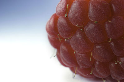 Macro shot of a raspberry on the white background, selective focus of a berry fruit,  close up