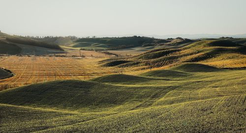 Scenic view of agricultural field against sky