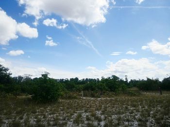 Scenic view of field against sky