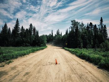 Road amidst trees against sky