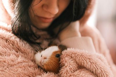 Cute guinea pig in the girl's arms, child and animal concept