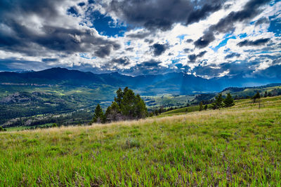 Scenic view of landscape against sky