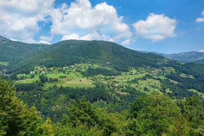 environment
