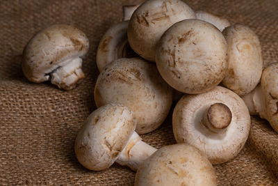 Close-up of mushrooms