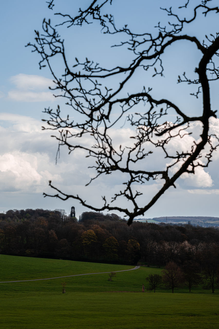 SCENIC VIEW OF LAND AGAINST SKY