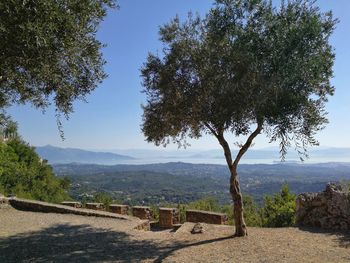 Trees on landscape against sky