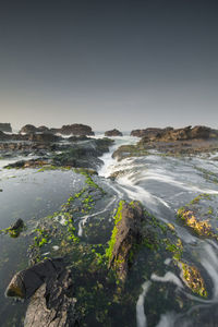 Scenic view of sea against clear sky