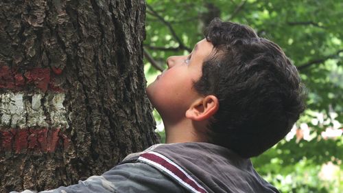 Close-up of boy hugging tree at forest