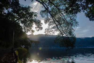 Scenic view of lake in forest against sky
