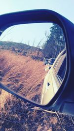 Close-up of cropped car