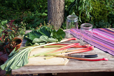 High angle view of vegetables on table