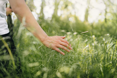 Close-up of hand touching tall grass on field