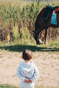 Rear view of baby girl looking at horse grazing on land