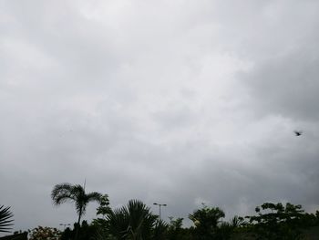 Low angle view of cloudy sky