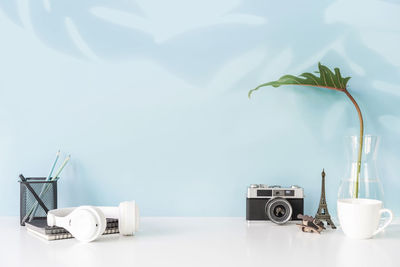 Close-up of potted plant on table against white background