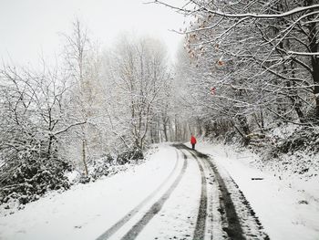 Road amidst bare trees