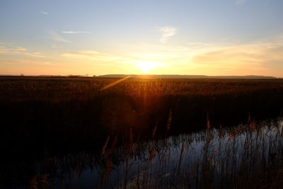 Scenic view of field against sky during sunset