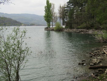 Scenic view of lake in forest against sky