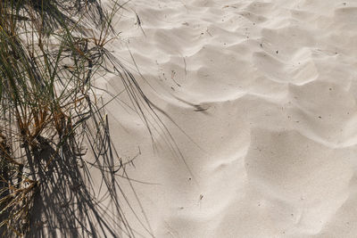 Full frame shot of sand