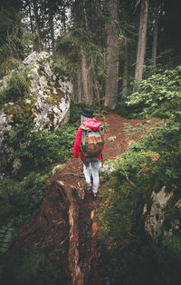 Rear view of woman walking in forest