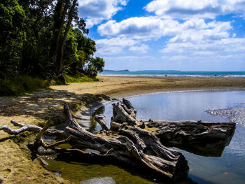 Scenic view of beach against sky