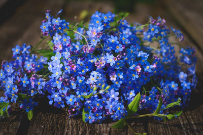 Close-up of purple flowering plants on table