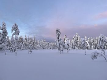 Scenic view of snow covered field against sky