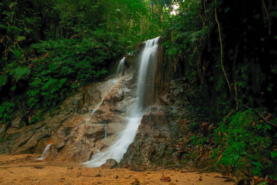 Scenic view of waterfall in forest