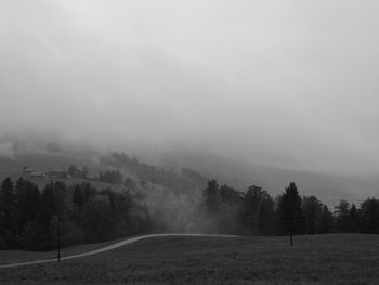 Trees on field against sky during foggy weather