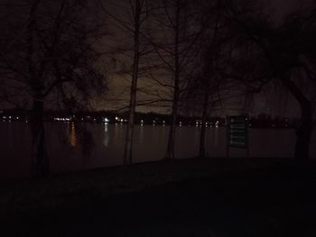 Bare trees against sky at night