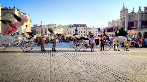 People by horse carriage in town square