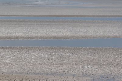 Scenic view of beach