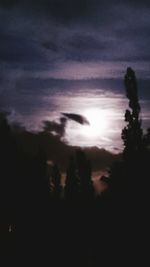 Silhouette of trees against cloudy sky