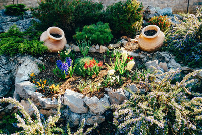 High angle view of potted plants in garden