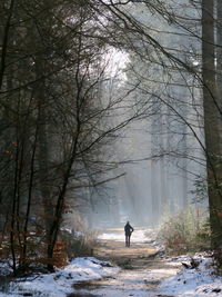 Woman walking amidst trees during winter