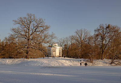 Bare trees on snow covered field against sky