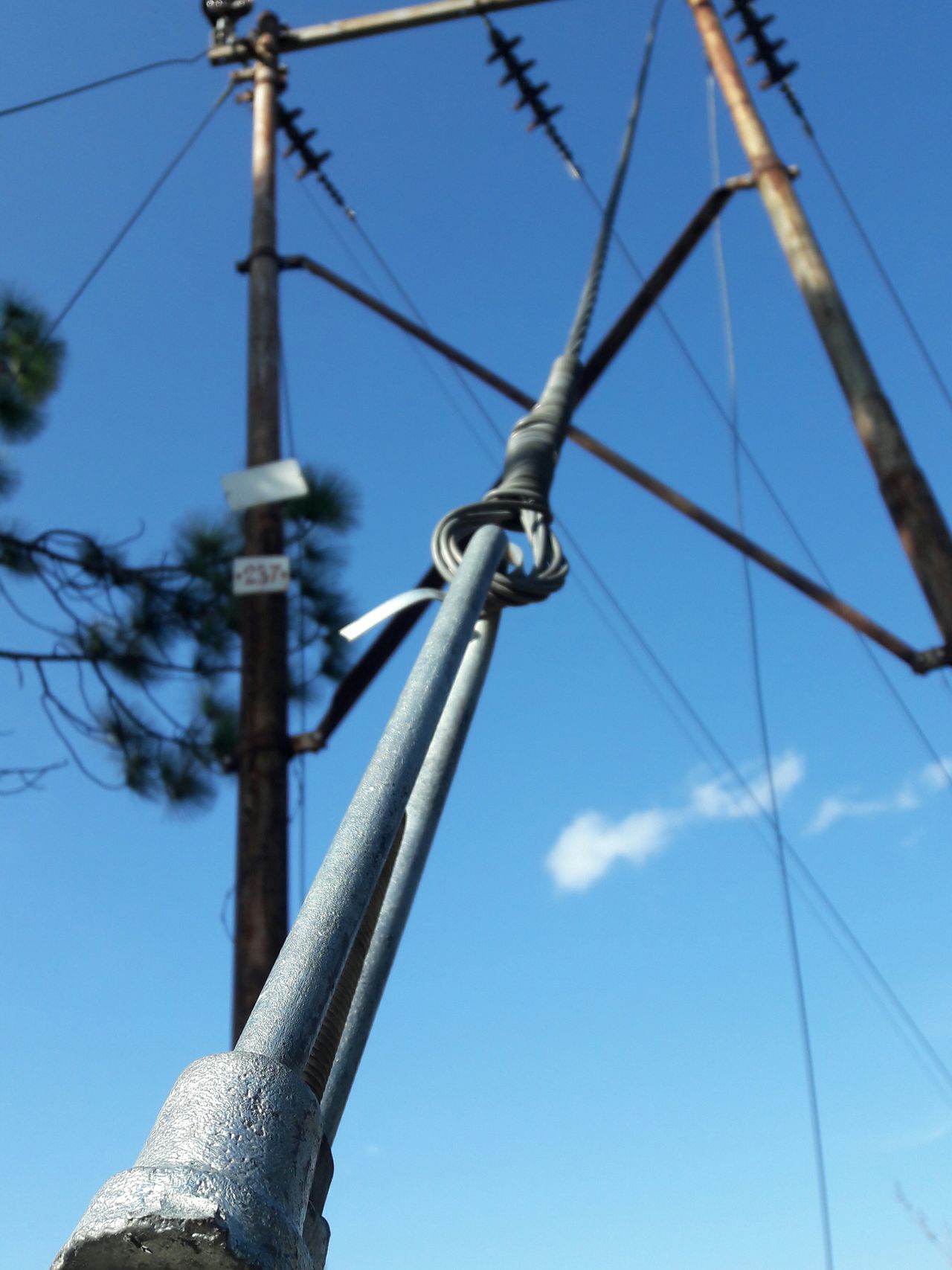 Pole electric