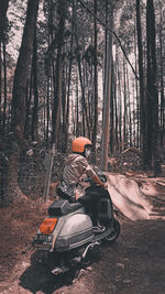 Rear view of man sitting on tree trunk in forest