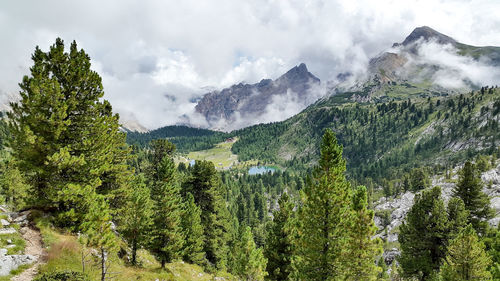Panoramic view of trees and mountains against sky