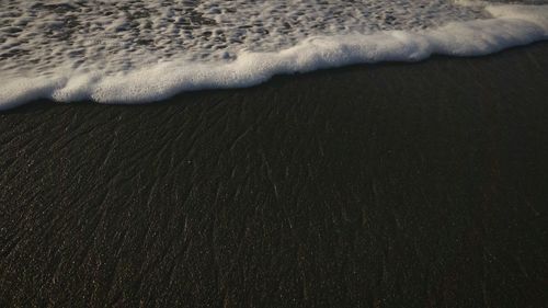 Scenic view of sea shore at beach