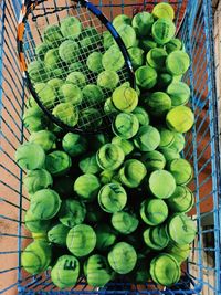 High angle view of berries in container