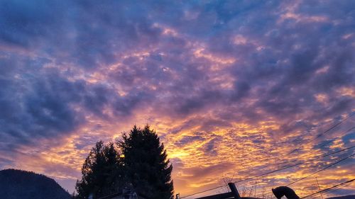 Low angle view of silhouette trees against dramatic sky