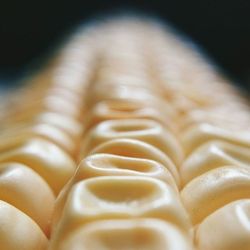 Full frame shot of tiled floor