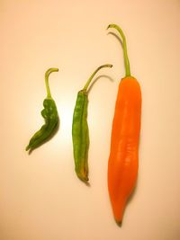 Close-up of chili pepper against white background