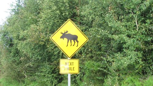 Road sign against trees