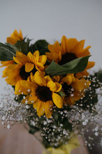 Close-up of yellow flowering plant