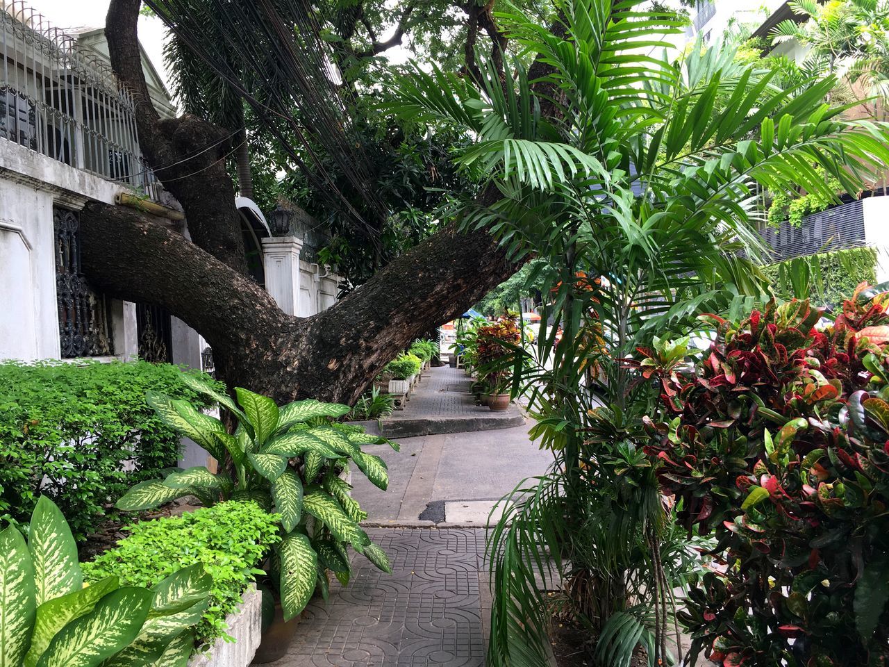 VIEW OF STAIRCASE IN PARK