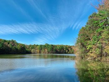 Scenic view of lake in forest against blue sky