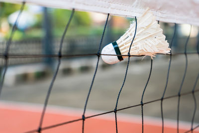 Close-up of ball hanging on rope