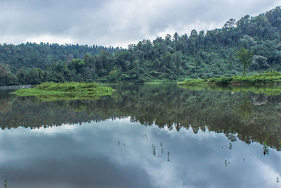 Scenic view of lake by trees against sky, the trees are reflected on the water